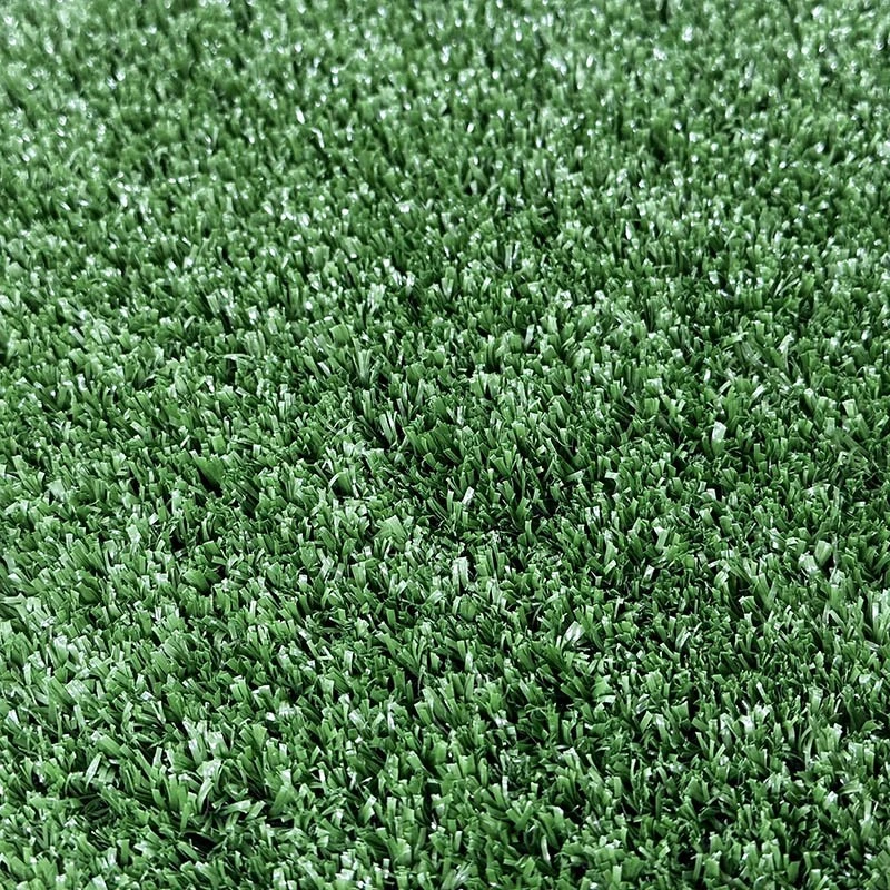 IMG1599 IMG1599